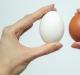 Как покрасить яйца к Пасхе натуральными красителями: варианты, узоры